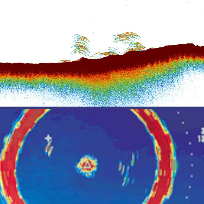 DIFFERENZA TRA ECOSCANDAGLIO E SONAR