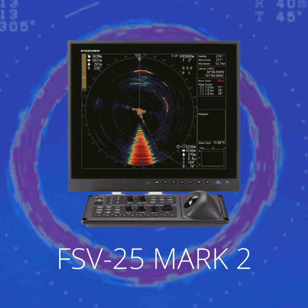 FSV-25-MARK-2