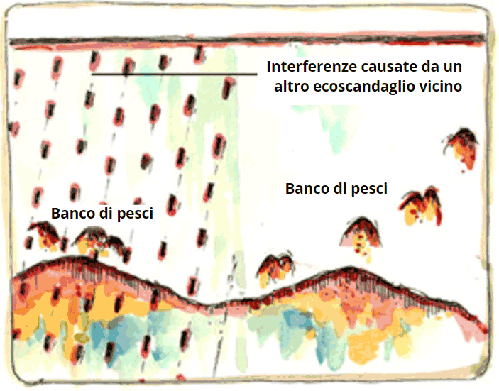 Interpretazione marcature ecoscandaglio