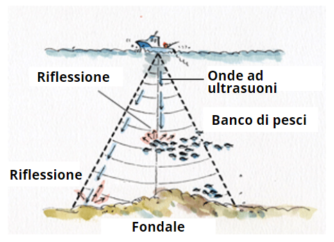 COME-LEGGERE-ECOSCANDAGLIO