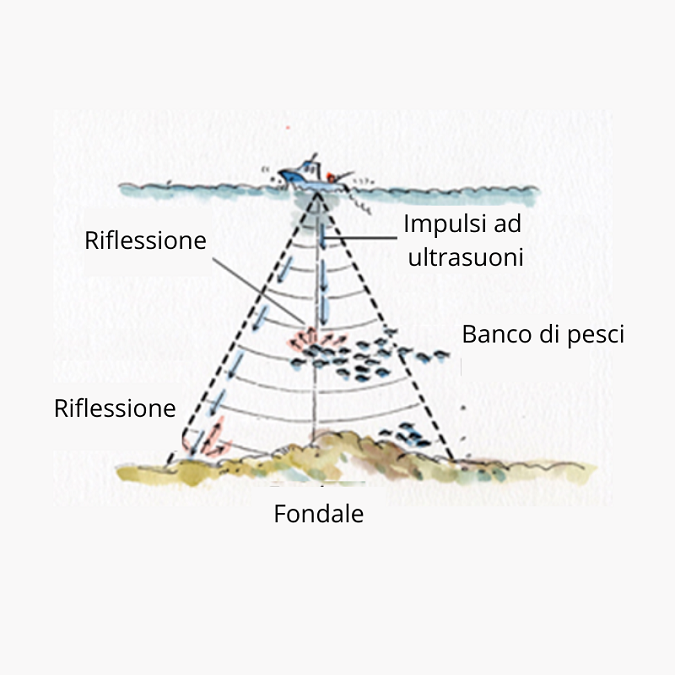 COME FUNZIONA LECOSCANDAGLIO DA PESCA