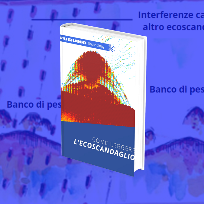 INTERPRETAZIONE ECOSCANDAGLIO